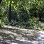 Tokarnia. Zniszczenia po nawałnicy (17 czerwca 2016) / Jarosław Kubalski / Radio Kielce