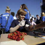 Święto Truskawki w Bielinach (5 czerwca 2016 r) / Jarosław Kubalski / Radio Kielce