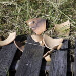 Tokarnia. Zniszczenia po nawałnicy (17 czerwca 2016) / Jarosław Kubalski / Radio Kielce