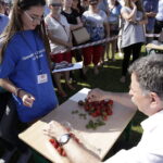 Święto Truskawki w Bielinach (5 czerwca 2016 r) / Jarosław Kubalski / Radio Kielce