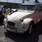 90-lecie istnienia Kół Gospodyń Wiejskich we Wzdole Rządowym. Można było też obejrzeć zabytkowe samochody. (5 czerwca 2016 r) / Jarosław Kubalski / Radio Kielce