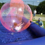 Święto Truskawki w Bielinach (5 czerwca 2016 r) / Jarosław Kubalski / Radio Kielce