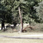 Tokarnia. Zniszczenia po nawałnicy (17 czerwca 2016) / Jarosław Kubalski / Radio Kielce