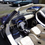 90-lecie istnienia Kół Gospodyń Wiejskich we Wzdole Rządowym. Można było też obejrzeć zabytkowe samochody. (5 czerwca 2016 r) / Jarosław Kubalski / Radio Kielce