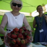 Święto Truskawki w Bielinach (5 czerwca 2016 r) / Jarosław Kubalski / Radio Kielce