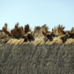 Tokarnia. Zniszczenia po nawałnicy (17 czerwca 2016) / Jarosław Kubalski / Radio Kielce