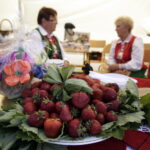 Święto Truskawki w Bielinach (5 czerwca 2016 r) / Jarosław Kubalski / Radio Kielce