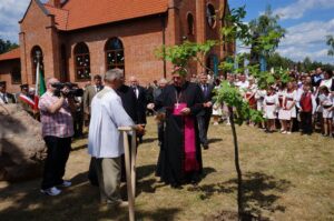 12.06.2016 Ostrowiec. Święto lasu / Teresa Czajkowska / Radio Kielce