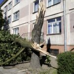 17.06.2016 Kielce. Przeszła nawałnica. Powalone drzewa przy ulicy Warszawskiej. / Jarosław Kubalski / Radio Kielce