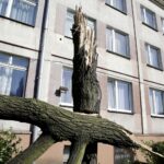 17.06.2016 Kielce. Przeszła nawałnica. Powalone drzewa przy ulicy Warszawskiej. / Jarosław Kubalski / Radio Kielce