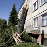 17.06.2016 Kielce. Przeszła nawałnica. Powalone drzewa przy ulicy Warszawskiej. / Jarosław Kubalski / Radio Kielce