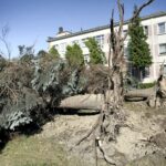 17.06.2016 Kielce. Przeszła nawałnica. Powalone drzewa przy ulicy Warszawskiej. / Jarosław Kubalski / Radio Kielce