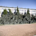 17.06.2016 Kielce. Przeszła nawałnica. Powalone drzewa przy ulicy Warszawskiej. / Jarosław Kubalski / Radio Kielce