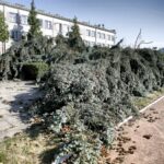 17.06.2016 Kielce. Przeszła nawałnica. Powalone drzewa przy ulicy Warszawskiej. / Jarosław Kubalski / Radio Kielce