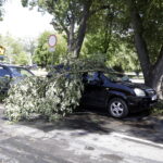 17.06.2016. Straty po nawałnicy. W Kielcach drzewo spadło na samochód / Jarosław Kubalski / Radio Kielce