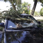 17.06.2016. Straty po nawałnicy. W Kielcach drzewo spadło na samochód / Jarosław Kubalski / Radio Kielce