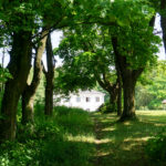 Wakacje z duchami historii. Piotrkowice (29 czerwca 2016 r.) / Radio Kielce