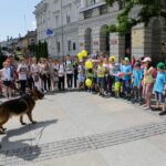 Festyn na kieleckim Rynku (1 czerwca 2016 r.) / Wojciech Habdas / Radio Kielce