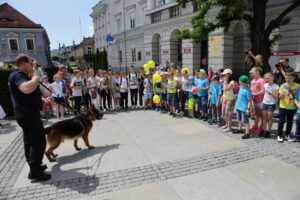 Festyn na kieleckim Rynku (1 czerwca 2016 r.) / Wojciech Habdas / Radio Kielce