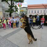 Festyn na kieleckim Rynku (1 czerwca 2016 r.) / Wojciech Habdas / Radio Kielce