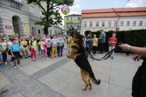 Festyn na kieleckim Rynku (1 czerwca 2016 r.) / Wojciech Habdas / Radio Kielce