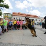 Festyn na kieleckim Rynku (1 czerwca 2016 r.) / Wojciech Habdas / Radio Kielce