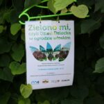 04.06.2016 Zielono mi, czyli Dzień Dziecka w Muzeum Narodowym w Kielcach / Wojciech Habdas / Radio Kielce