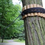 11.06.2016. Z parku miejskiego w Kielcach zniknęły hamaki / Wojciech Habdas / Radio Kielce