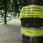 11.06.2016. Z parku miejskiego w Kielcach zniknęły hamaki / Wojciech Habdas / Radio Kielce