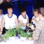 11.06.2016. Ogólnopolski Festiwal Zielarstwa w Łagowie / Wojciech Habdas / Radio Kielce