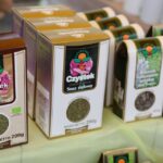 11.06.2016. Ogólnopolski Festiwal Zielarstwa w Łagowie / Wojciech Habdas / Radio Kielce