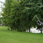 Wakacje z Duchami Historii. Maleszowa (27 lipca 2016 r.) / Grzegorz Jamka / Radio Kielce