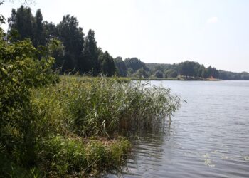Zaniedbany zalew w Cedzynie (7 sierpnia 2015 r.) / Piotr Michalski / Radio Kielce