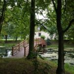 Romans w Żurawim Gnieździe, ślub w tajemnicy