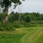 Wakacje z Duchami Historii. Śladków Duży (26 lipca 2016 r.) / Grzegorz Jamka / Radio Kielce