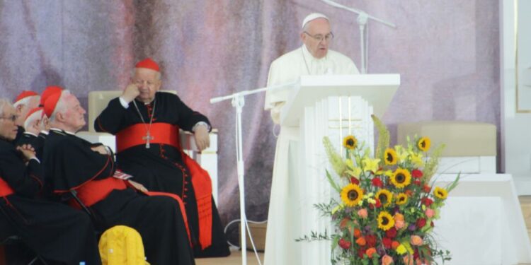 Kraków - Błonia.Papież Franciszek spotkał się z uczestnikami ŚDM (28 lipca 2016 r.) / Wojciech Habdas / Radio Kielce