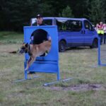 Drugi dzień Kuźnic Koneckich (10 lipca 2016 r) / Wojciech Habdas / Radio Kielce