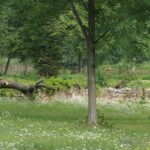 Wakacje z Duchami Historii. Śladków Duży (26 lipca 2016 r.) / Grzegorz Jamka / Radio Kielce