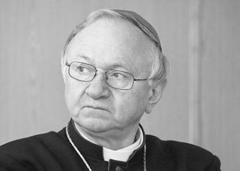 abp Zygmunt Zimowski / Serge Serebro, Vitebsk Popular News / wikipedia.org