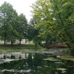 Wakacje z Duchami Historii. Maleszowa (27 lipca 2016 r.) / Grzegorz Jamka / Radio Kielce