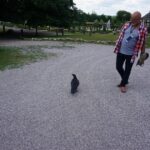 04.07.2016 Wakacje z Duchami Historii w Sobkowie / Arkadiusz Miller / Radio Kielce