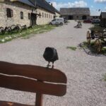 04.07.2016 Wakacje z Duchami Historii w Sobkowie / Arkadiusz Miller / Radio Kielce