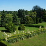 20.07.2016. Wakacje z duchami historii. Czyżów Szlachecki / Grzegorz Jamka / Radio Kielce