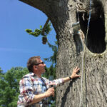 5.7.2016 Nowe Kotlice. Wakacje z Duchami Historii / Krzysztof Bujnowicz / Radio Kielce