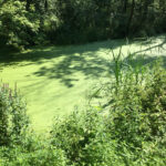 5.7.2016 Nowe Kotlice. Wakacje z Duchami Historii / Krzysztof Bujnowicz / Radio Kielce