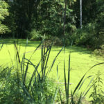 5.7.2016 Nowe Kotlice. Wakacje z Duchami Historii / Krzysztof Bujnowicz / Radio Kielce