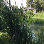 5.7.2016 Nowe Kotlice. Wakacje z Duchami Historii / Krzysztof Bujnowicz / Radio Kielce