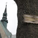 Wakacje z Duchami Historii. Szaniec (13 lipca 2016 r.) / Robert Felczak / Krzysztof Bujnowicz / Radio Kielce