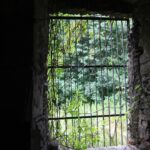 Wakacje z Duchami Historii. Szaniec (13 lipca 2016 r.) / Robert Felczak / Krzysztof Bujnowicz / Radio Kielce