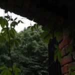 Wakacje z Duchami Historii. Szaniec (13 lipca 2016 r.) / Robert Felczak / Krzysztof Bujnowicz / Radio Kielce